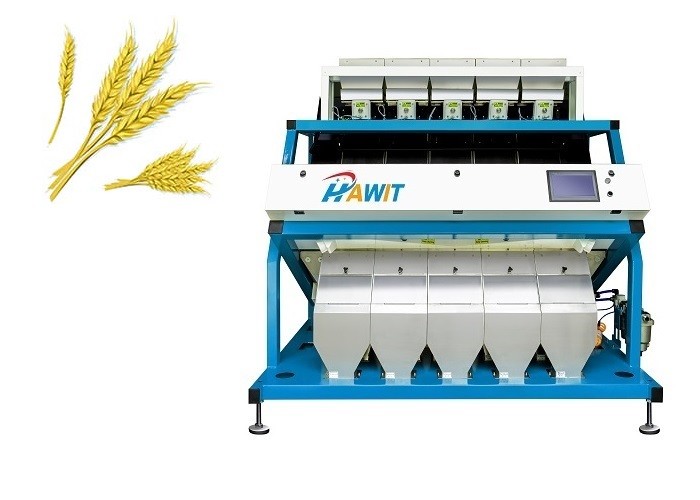 Multi Channels Reject Chalky Wheat Color Sorter In Wheat Flour Milling Line